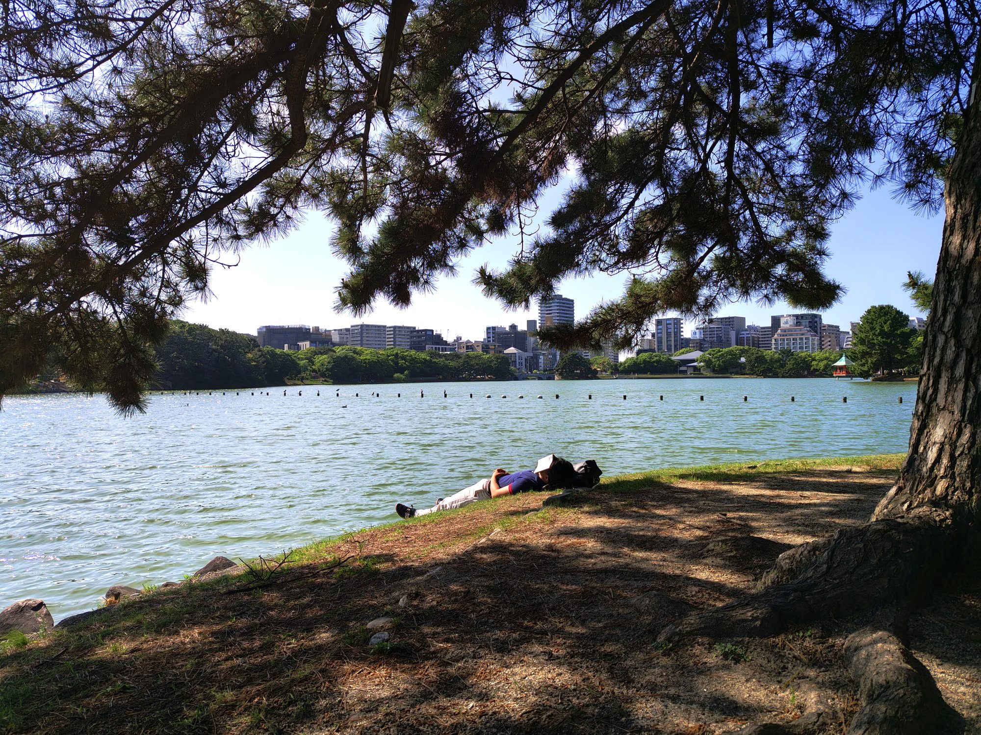 Ohori Park in central Fukuoka